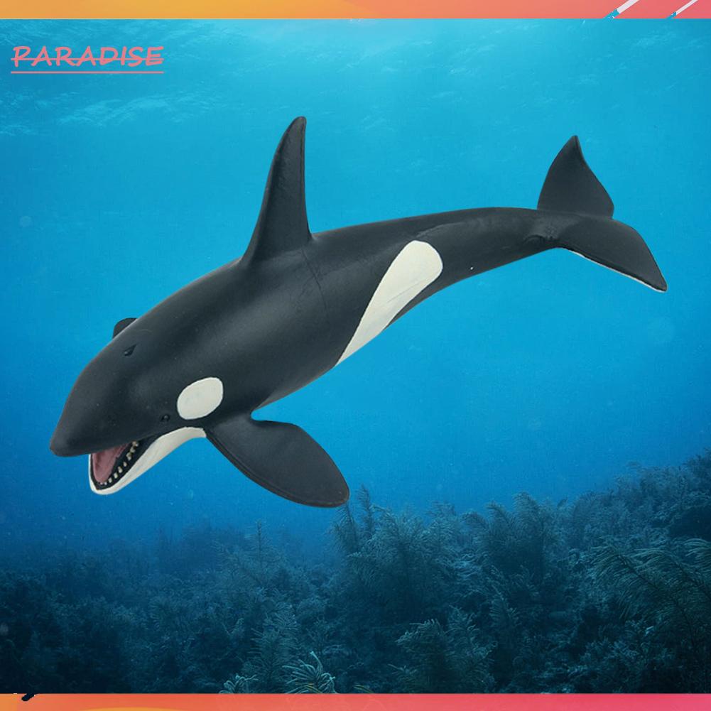 Mô Hình Cá Voi Sát Thủ 1.vn Di Động An Toàn Cho Bé