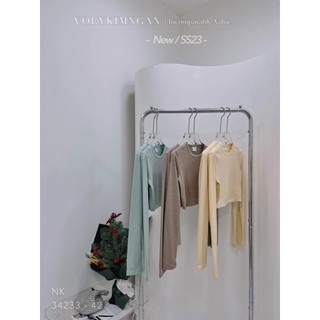 Áo td trơn cổ tròn 5 màu   