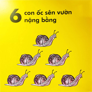 Sách Bọ Rùa Nặng Chừng Nào? (Tái Bản 2023)