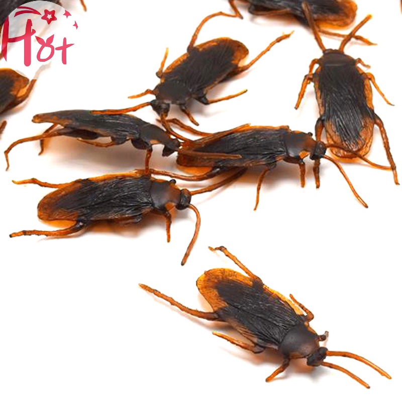 Jr Set 10 Mô Hình Con Gián Giả Bằng Cao Su Độc Đáo Sống Động vn