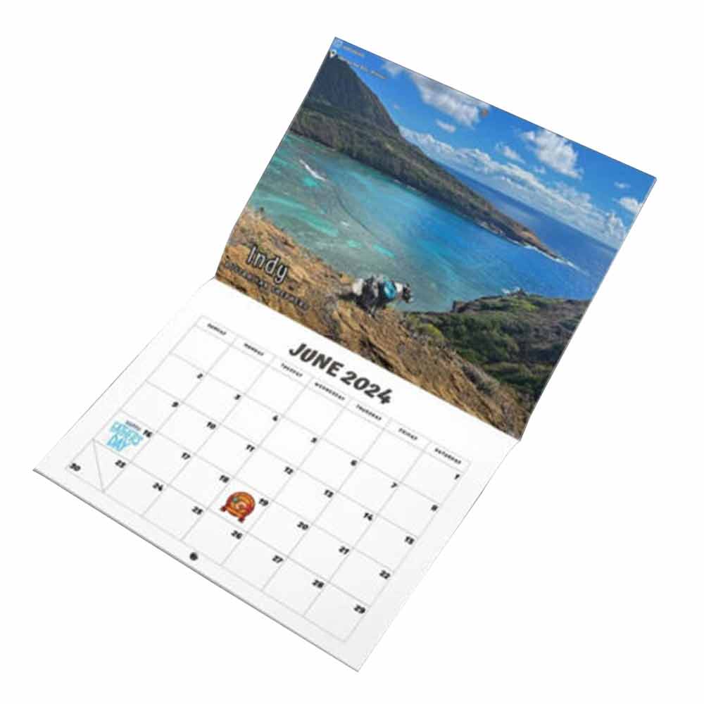 2024 Calendar-Funny Dogs Pooping in Beautiful Places Wall Calendar