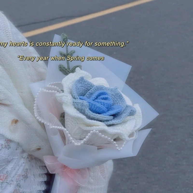 Bó Hoa Hồng Đan Len Thủ Công Dùng Làm Quà Tặng Cho Bạn Gái