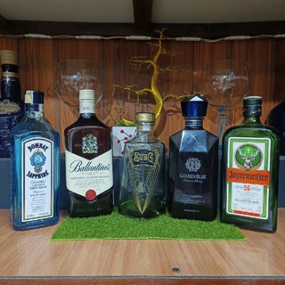 Combo 5 vỏ chai rượu ngoại trưng bày decor mới 99% (chai rỗng)