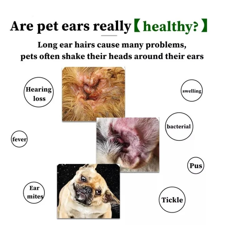 sg 11134201 7rbnd lnv9bblm7ev960