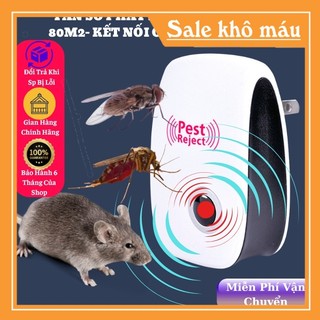 Máy đuổi chuột, đuổi muỗi, thiết bị đuổi côn trùng Pest Reject bằng sóng siêu âm