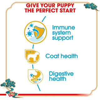 THỨC ĂN CHO CHÓ ROYAL CANIN POODLE-CHUBBY MEW