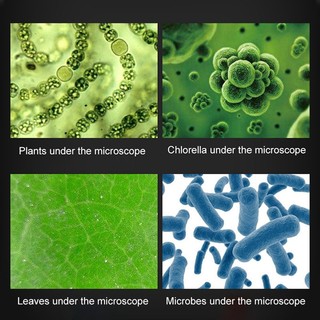 100X 400X 1200X MAGNIFICATION BASIC MICROSCOPE SCIENCE DISCOVERY EDUCATIONAL LEARNING STEM ADVANCE TOYS FOR CHILDREN