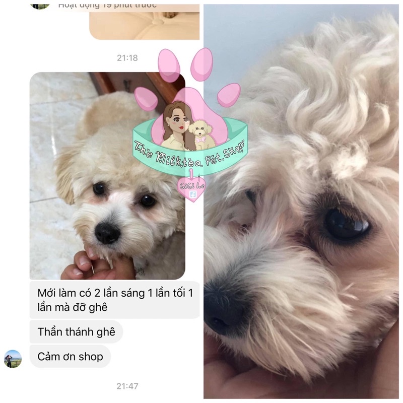 Combo loại bỏ thâm ố lông cho Chó Mèo