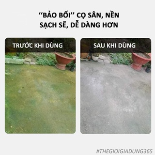 Bột Tẩy Rong Rêu Trên Nền Xi Măng, Sân Gạch