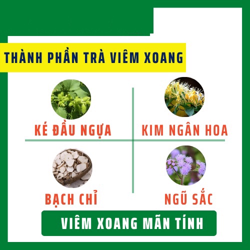 Trà viêm xoang túi lọc size 3gram