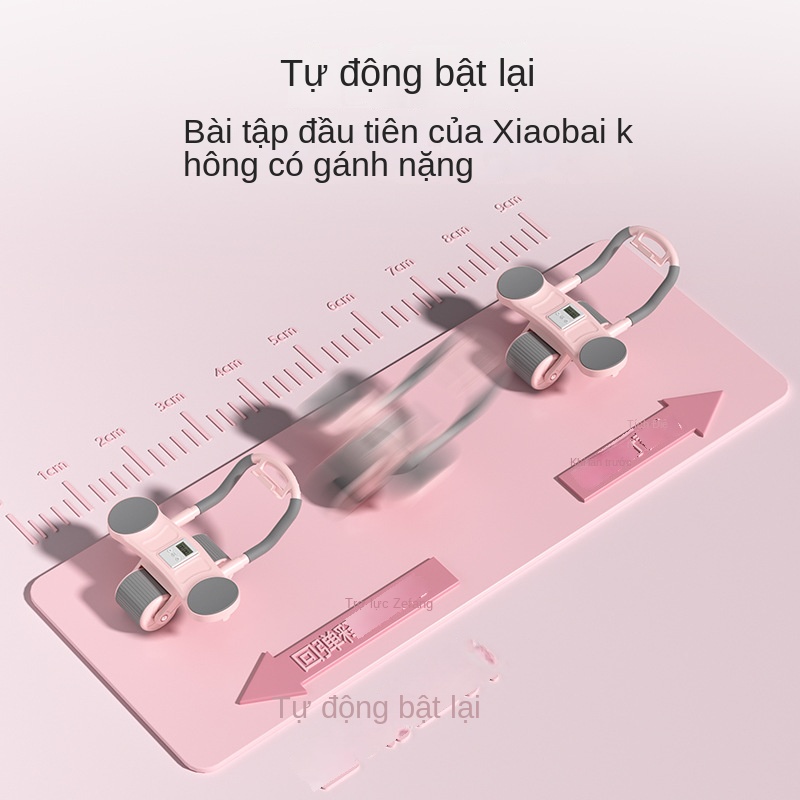 Bánh Xe Tập Cơ Bụng Nữ