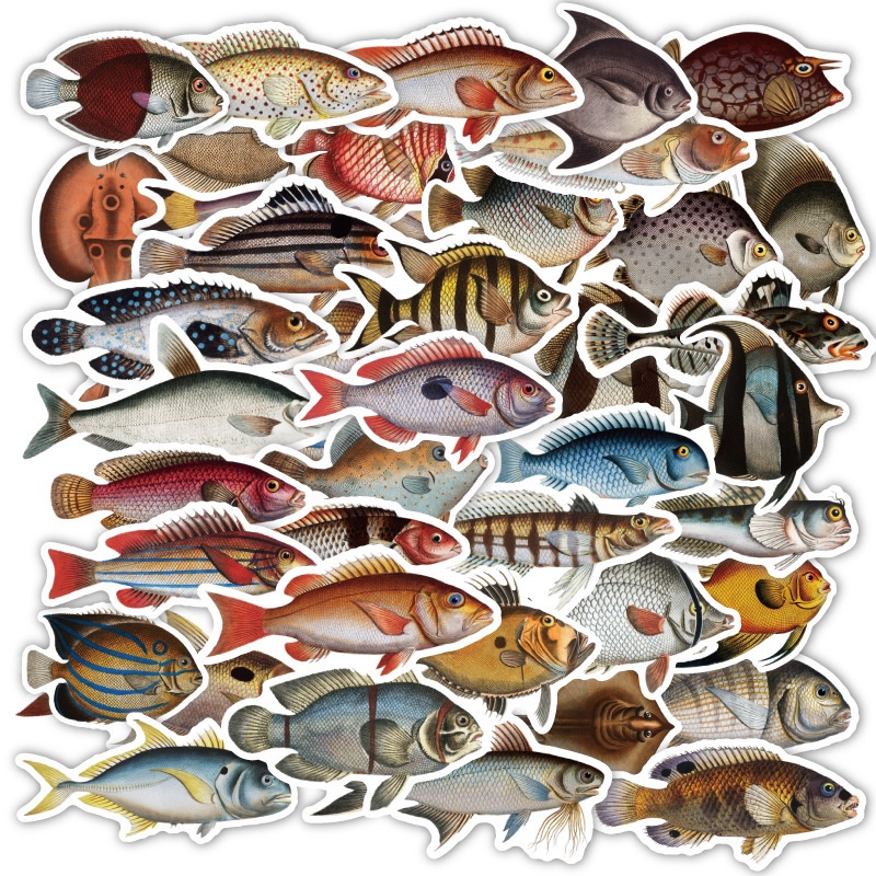 ❉ Nhãn dán Abyssal Fish Series 01 ❉ 50 Cái / bộ DIY Thời Trang Chống Thấm Nước Doodle Đề Can Dán