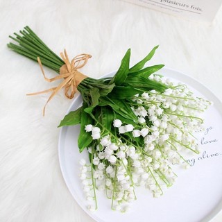 Củ hoa linh lan - Củ Giống Chuẩn
