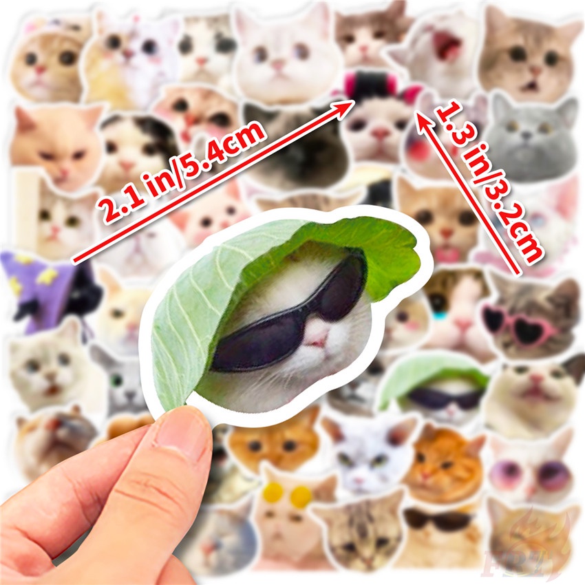 Bộ 50 / 50 Món Đồ Chơi Chất Lượng Cao ❉ Loạt Mèo Vui Nhộn 01 Nhãn Dán ❉ Miếng Dán Đề Can doodle Chống Nước Tự Làm Thời Trang