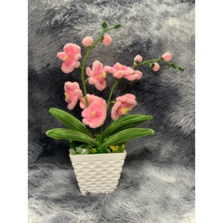 Hoa lan hồ điệp bằng kẽm nhung handmade - hoa kẽm nhung trưng tết