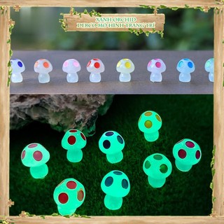 ​​​​tiểu cảnh "nấm dạ quang mini" trang trí sen đá, sân vườn/ chậu cây, dyi, terrarium