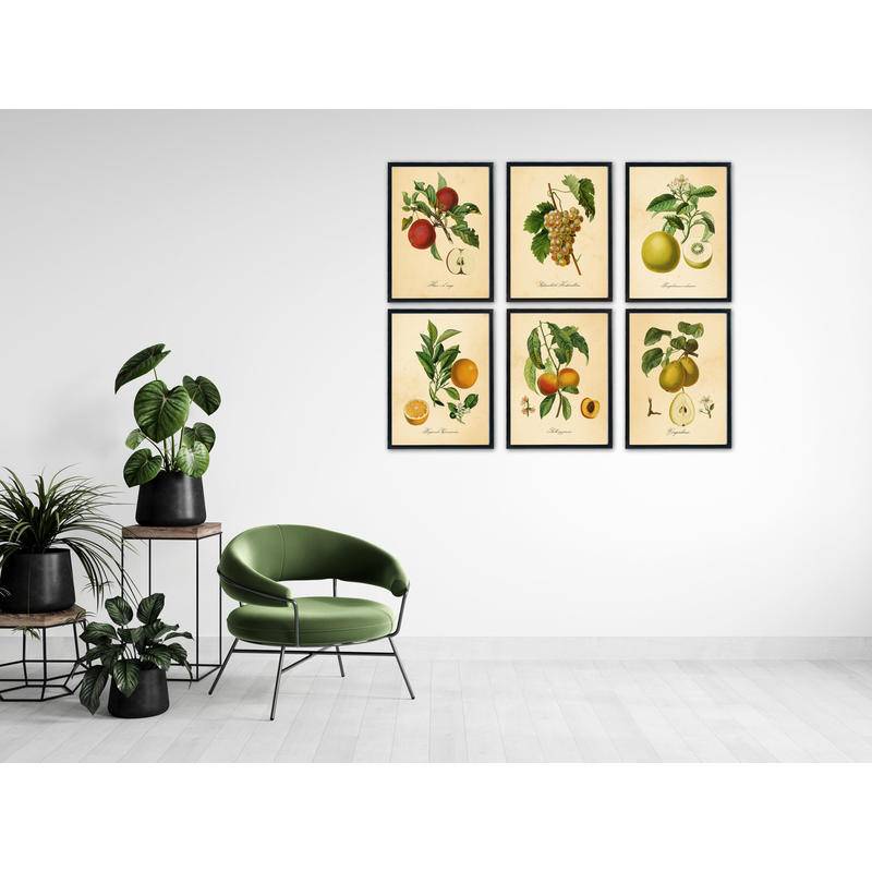 Tranh canvas Treo Tường Trang Trí Hình Quả Táo Quả Đào Phong Cách vintage