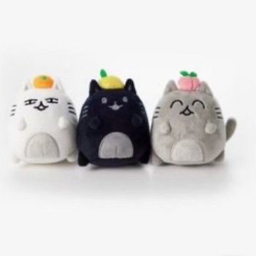 Mèo Nhồi Bông seventeen jun fifi 1 Dễ Thương Cho Bé Gái