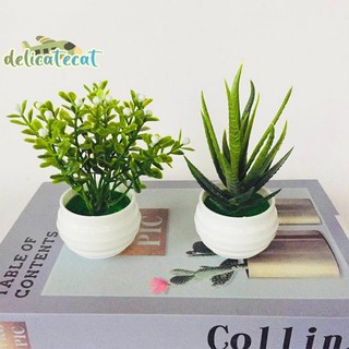 Chậu cây giả mini để bàn trang trí văn phòng