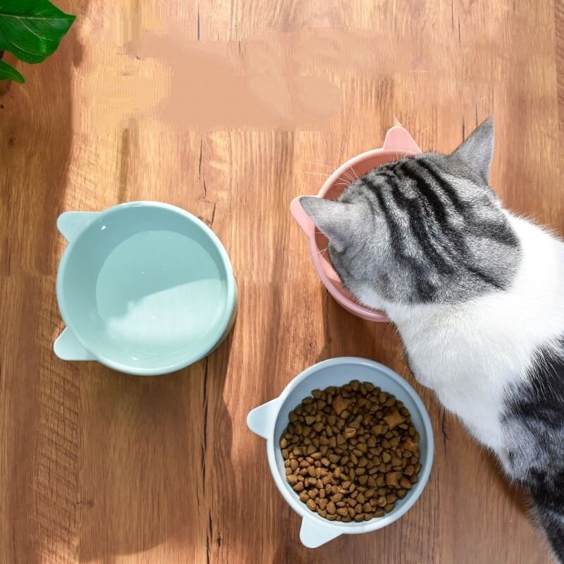 MASTI Pet Bowl nghiêng thức ăn cho chó bát thức ăn cho thú cưng kệ thức ăn cho thú cưng bát thức ăn cho động vật nghiêng 15 độ HHMPS0065