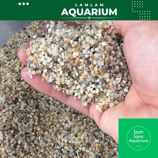 Sỏi nền hồ cá 500g , sỏi muối tiêu rải nền hồ cá