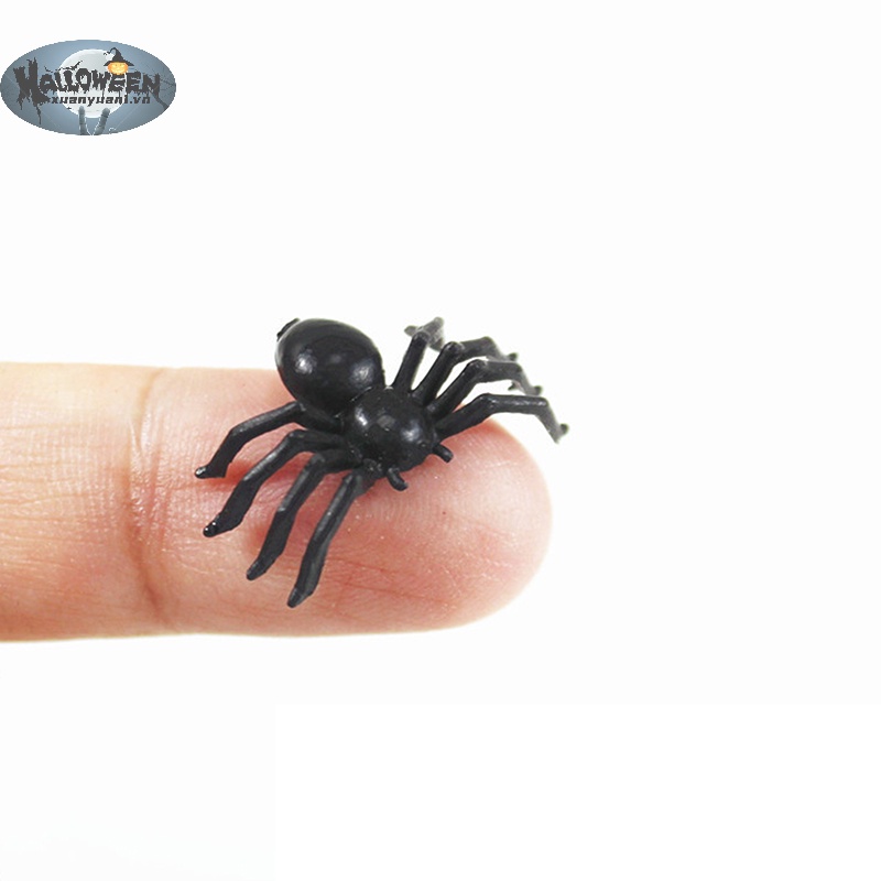Set 50 Mô Phỏng Nhện Nhựa Màu Đen Trang Trí halloween vn