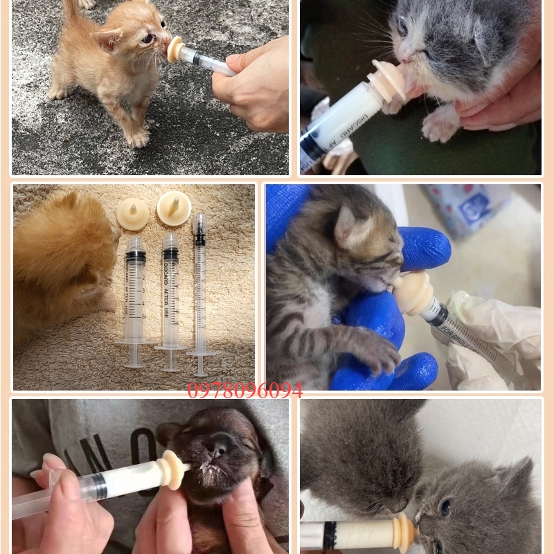 Núm Vú Ti Giả Cho Chó Con Núm Vú Giả Size S M Cho Chó Con Ti Giả Chó Con Núm Vú Giả Sóc Con Bơm Tiêm Bình Sữa Mèo Con