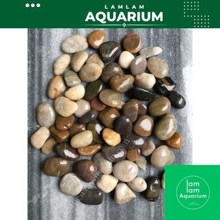1kg sỏi cuội to đậm màu tự nhiên