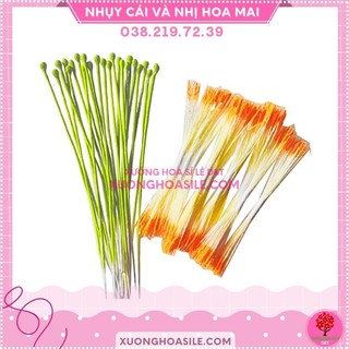 50 nhụy mai xanh, nhị giữa hoa mai, cái nhụy cái hoa mai, nhị hoa mai, nhị mai