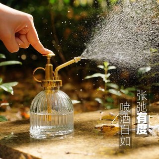 Internet-Famous and Vintage Gardening Home Watering Glass Pot Succulent Kettle Exquisite Small Spray Bottle Watering Can Ins Style 1206 Fang
