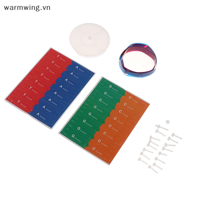 Đồ Chơi Giáo Dục Mô Hình Thí Nghiệm Khoa Học Ấm Áp dna