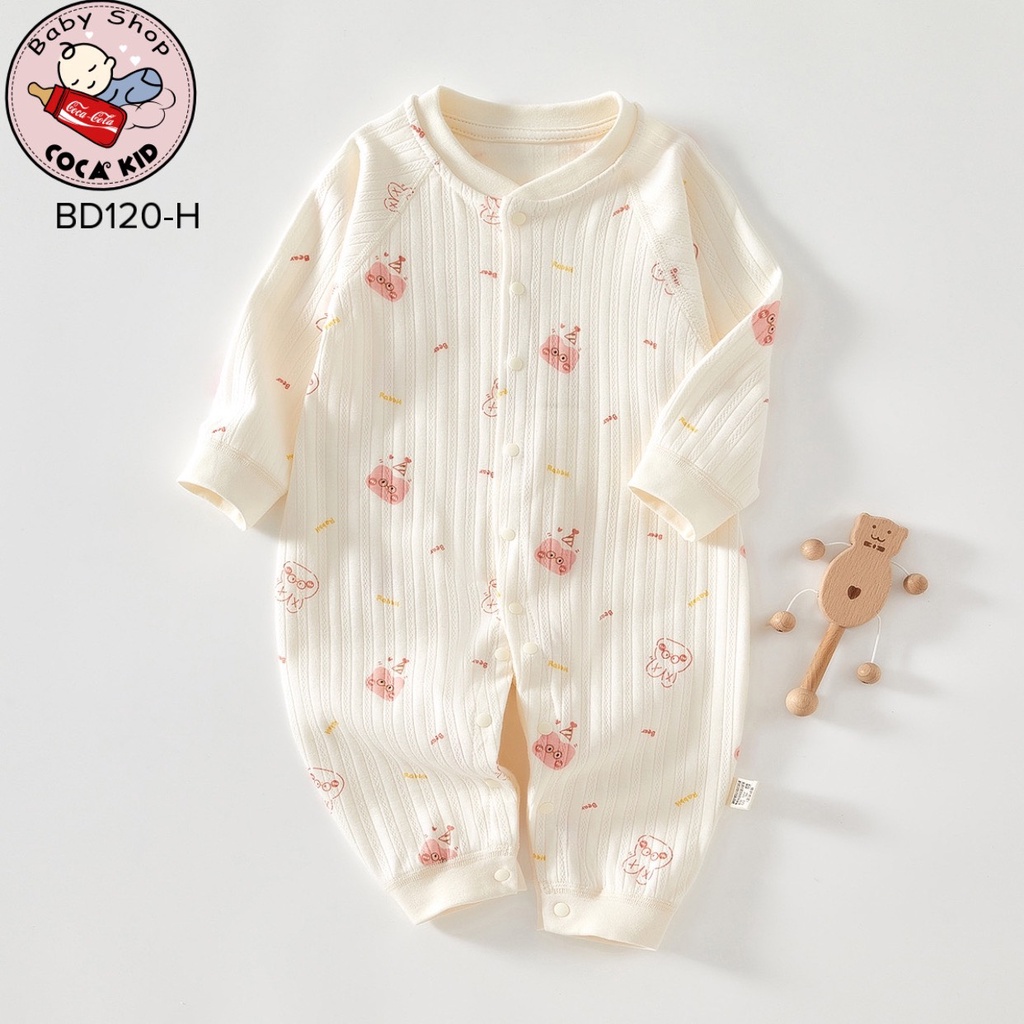 BODY COTTON CÚC GIỮA QUẢNG CHÂU