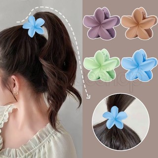 Kẹp tóc / kẹp tóc cá mập bằng nhựa màu trơn đơn giản thời trang cho nữ