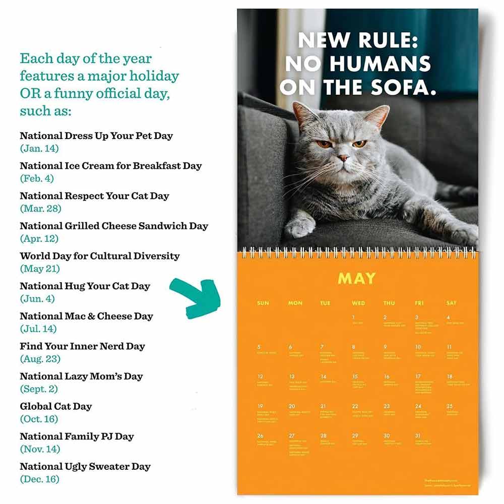 2024 Pissed- Cats Calendar, Wall Decor Time Planning Wall Calendar, Christmas Present Year's Gifts Paper Hanging Calendar Desk