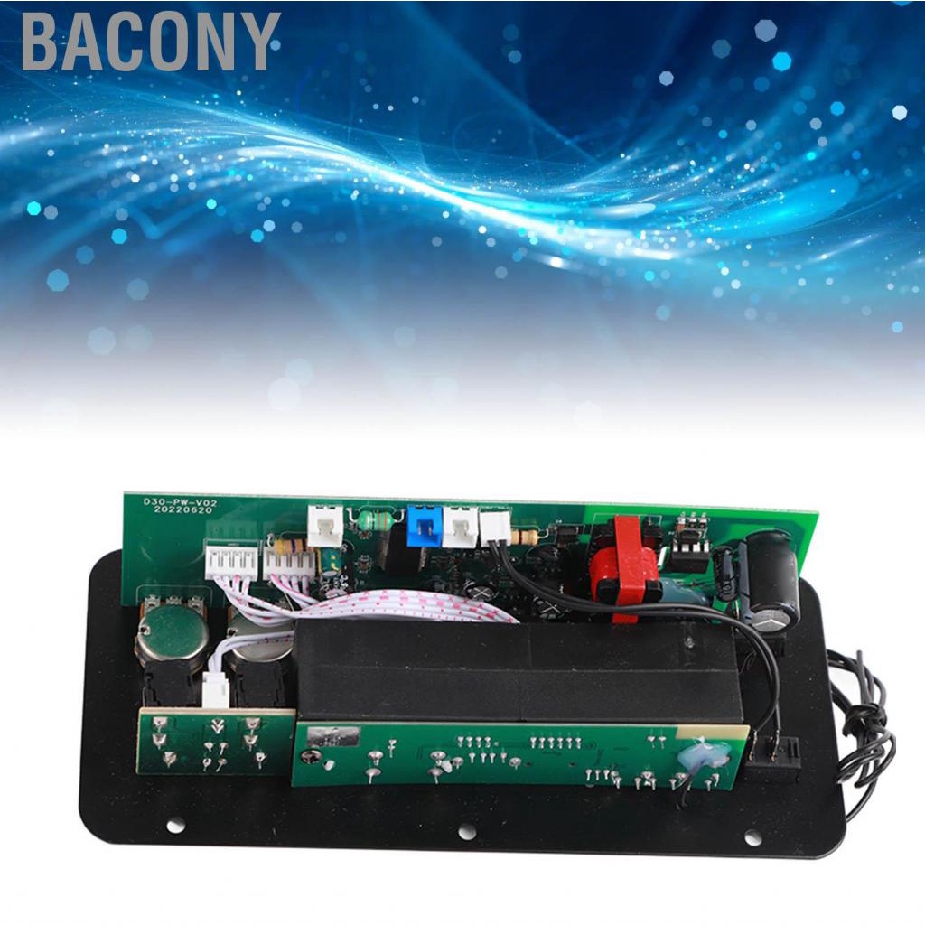 Bacony 10in  Stereo Subwoofer Amplifier Board Dual Microphone Input 220V for Home Theater DIY Speakers