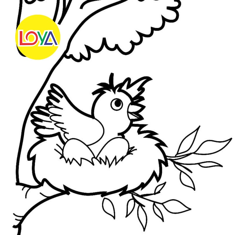 Set 50 Tờ Các Loài Chim (Birds) - Set 50 Tờ Tranh Tô Màu A4 A5 Dành Cho Màu Sáp, Màu Chì