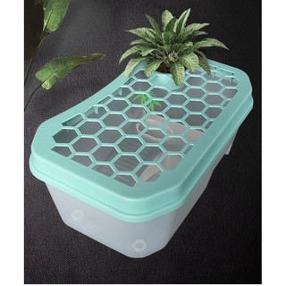 Bể nuôi rùa nhựa - Chậu nuôi rùa nhựa có nắp KT 40x23x13cm