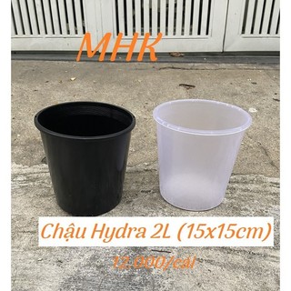 Chậu nhựa cứng 2L (15x15cm) dòng Hydra !