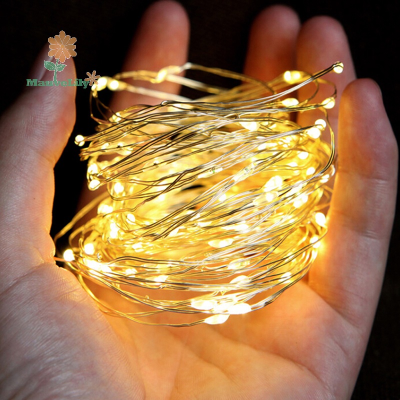 Dây Đèn led Trang Trí 2m 20led 3m 30led usb