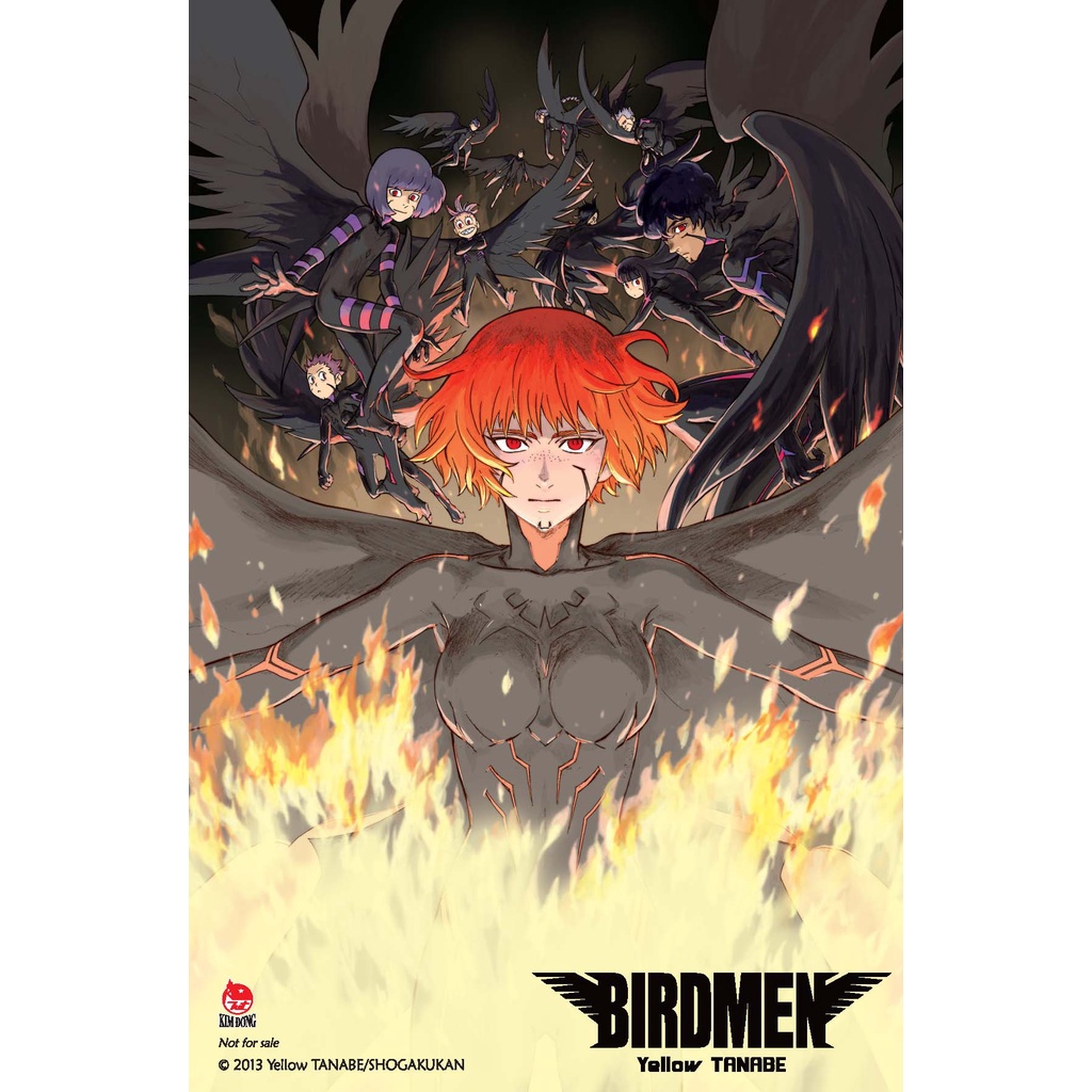Sách Birdmen  - Bản Quyền