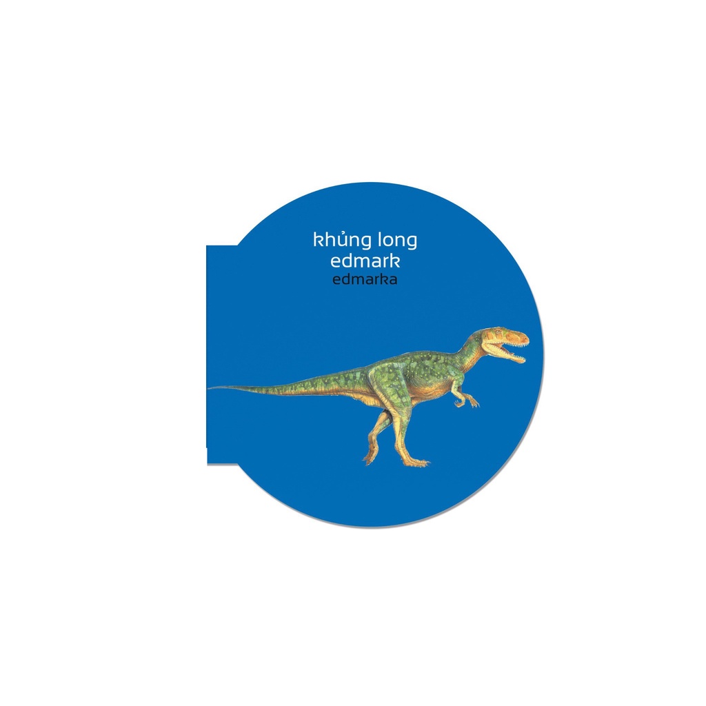 Sách Picture Dictionary - Từ Điển Bằng Hình - Dinosaurs - Khủng Long - Bìa Cứng