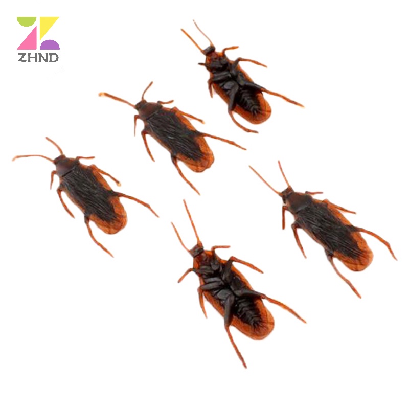 Zhuzhengde Set 10 Mô Hình Con Gián Giả Bằng Cao Su Sống Động Như Thật