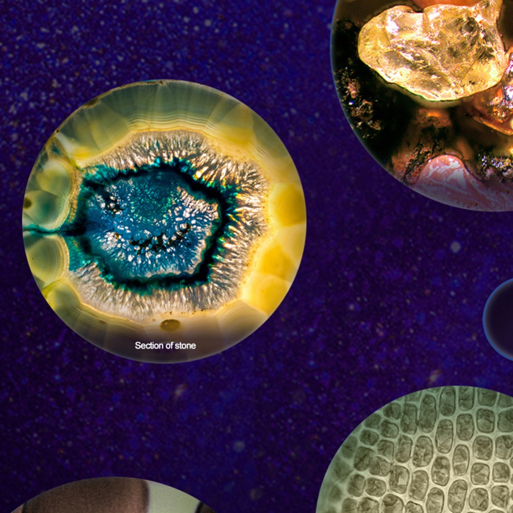 Kính Hiển Vi Đa Năng Cho Hoạt Động Ngoài Trời