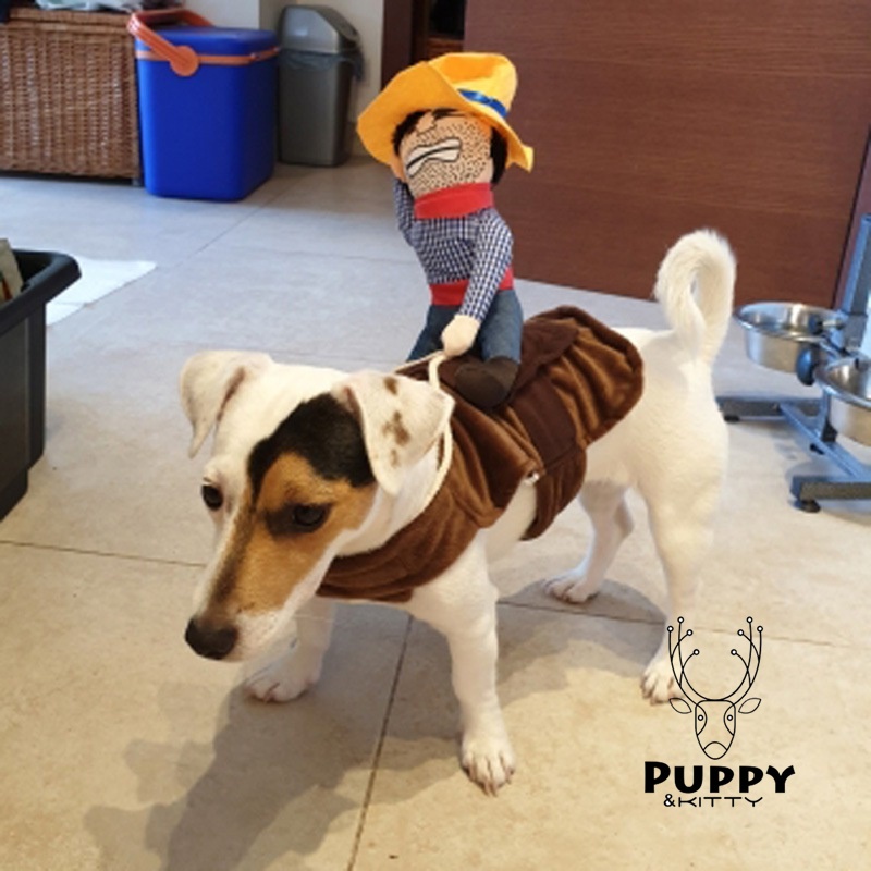 Trang PhụC halloween / GiáNg Sinh Cho Thú Cưng