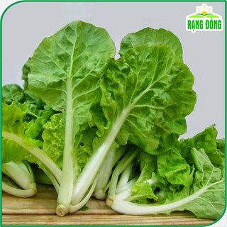 Hạt giống Cải Bẹ Dún giòn ngọt, nhanh thu hoạch, dễ trồng gói 20 gr dễ trồng