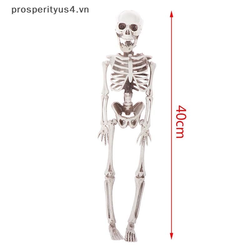 Bộ Xương Kinh Dị 40cm 40cm Hóa Trang halloween
