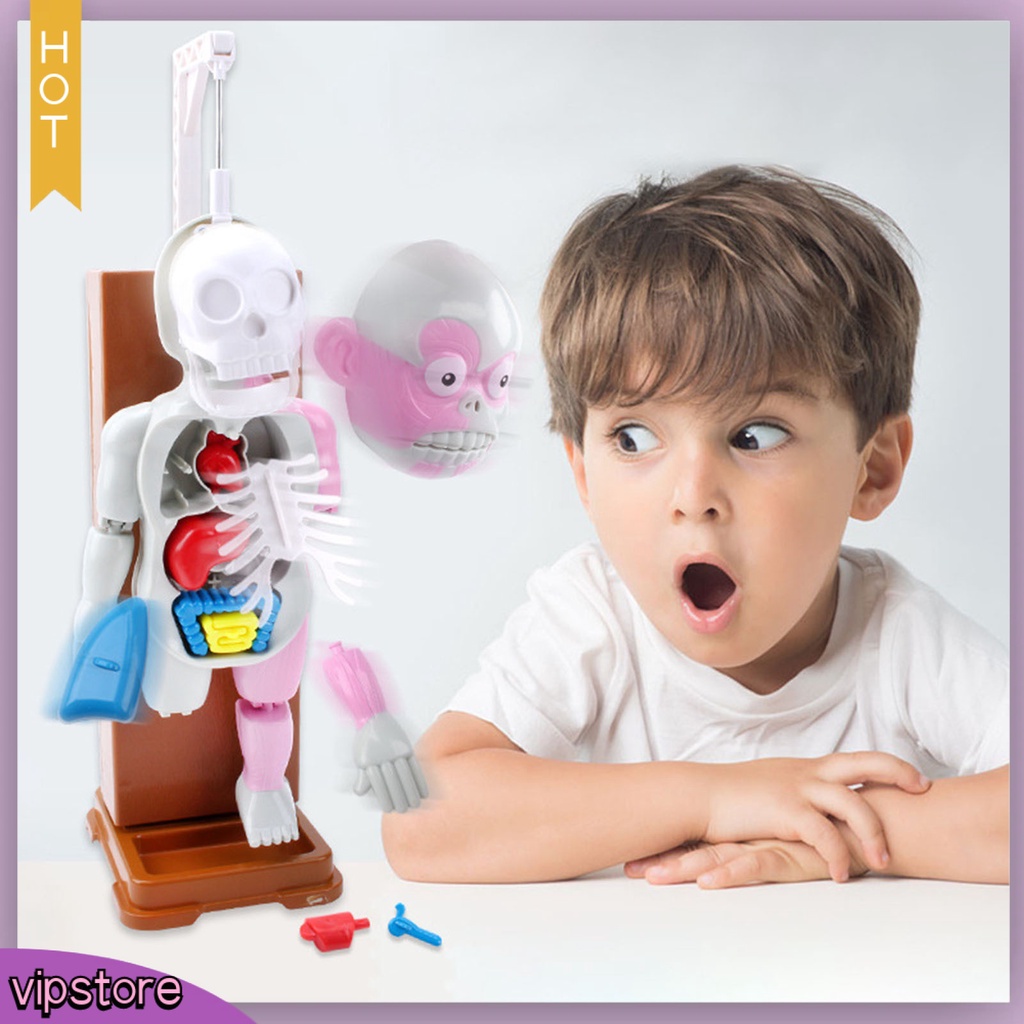 Set 37 Thẻ Ma Nơ Canh Có Âm Thanh Hóa Trang halloween