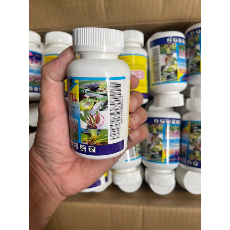 Thuốc trừ bệnh thối nhũn, nấm bệnh trên phong Lan Captan Thai Lan