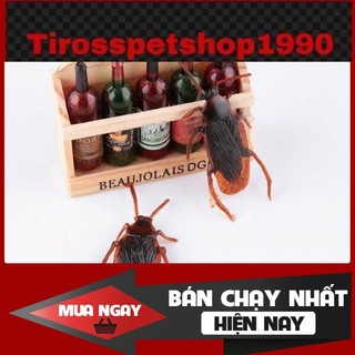 [❌GIÁ SỈ❌] Đồ chơi con gián nhựa cho mèo 😼 ❤️