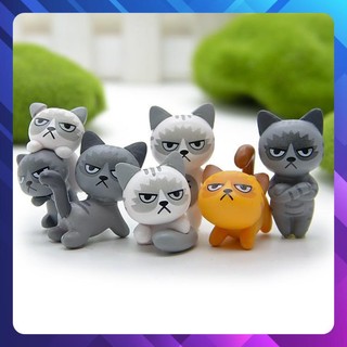 combo 7 Mô hình mèo tiểu cảnh yang hồ tức giận đáng yêu
